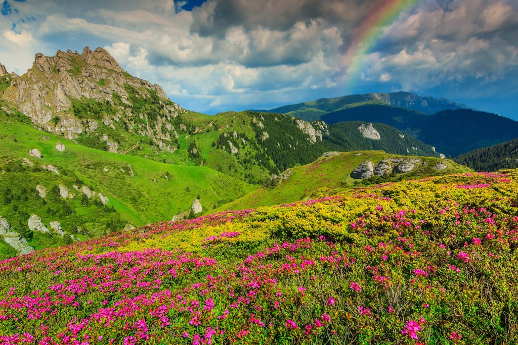 A team escape in the Carpathians